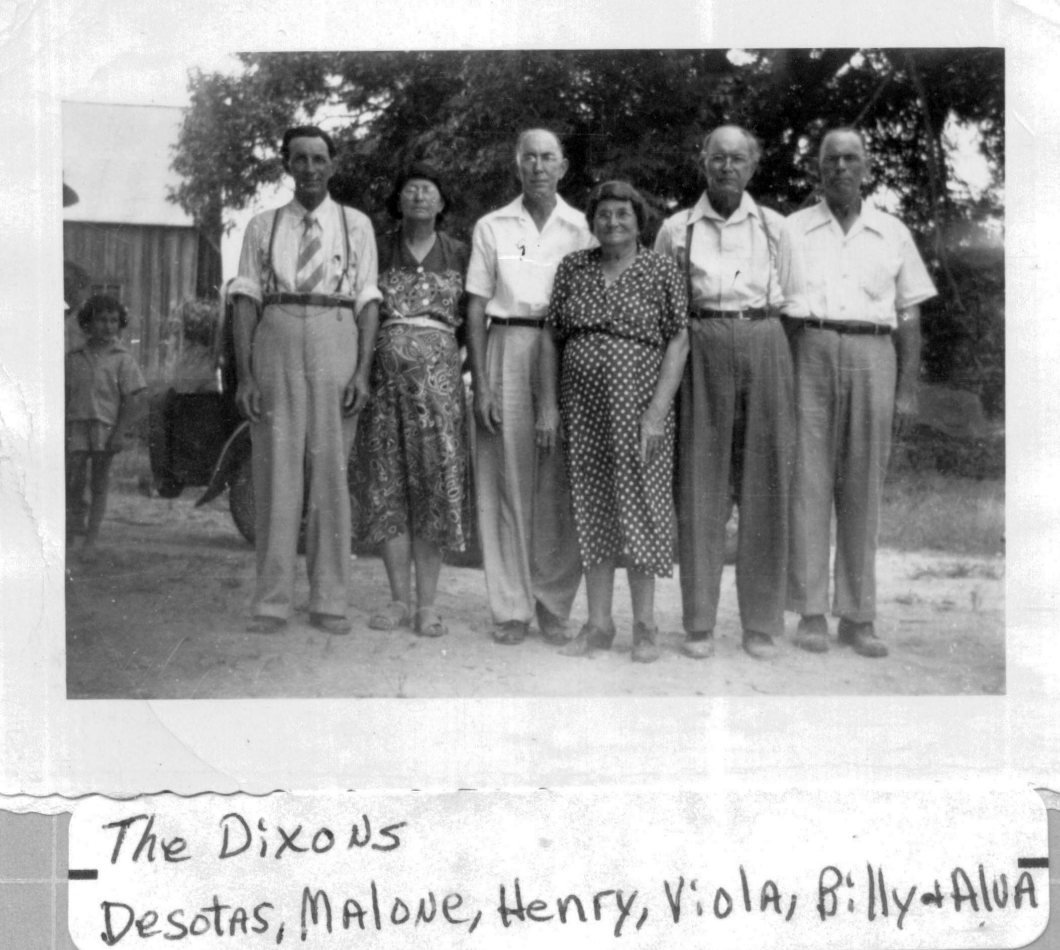 Johnson Family Tree What is the Johnson Family Tree